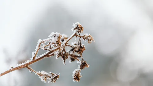 Vague de froid en Alsace : les préfectures prennent des mesures