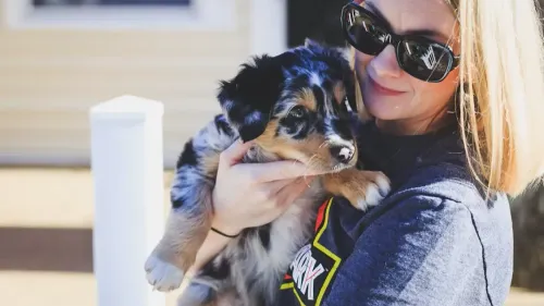 Quels sont les chiens et chats préférés des Alsaciens ?