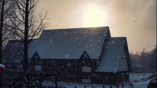 La neige fait son grand retour en Alsace 