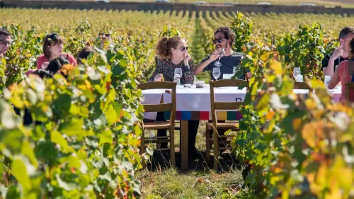 Le week-end de Pentecôte chez un vigneron