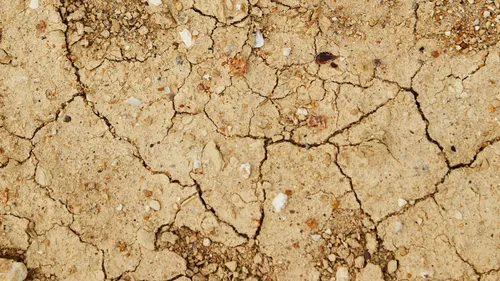 Sécheresse en Alsace : de nouvelles restrictions de l'usage de l'eau