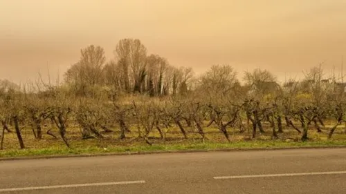 Encore des poussières de sable dans le ciel alsacien