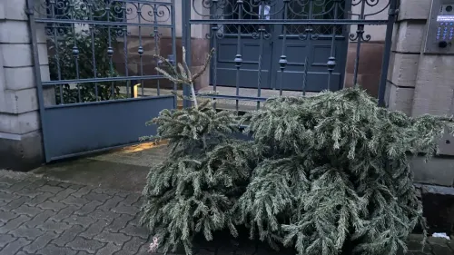 Où et quand jeter son sapin de Noël en Alsace ?