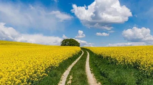 La météo de votre long week-end de l’Ascension en Alsace