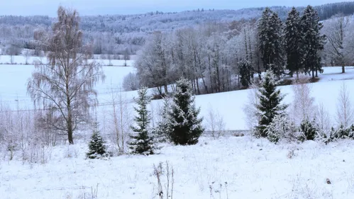 Neige et vent : prudence dans le Haut-Rhin