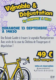 VIGNOBLE & DEGUSTATION by MONTPEL' A VELO