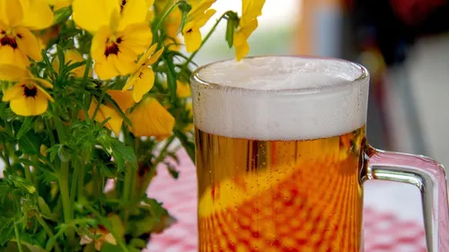 Montpellier, Béziers, Perpignan… La bière est en fête au mois de...