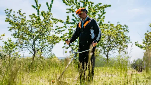 Protégez votre propriété en débroussaillant