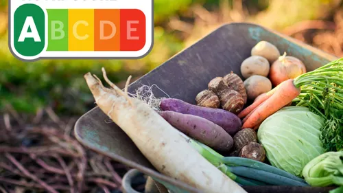 Nutri-Score : Le guide pour enfin comprendre ce qui se cache dans...