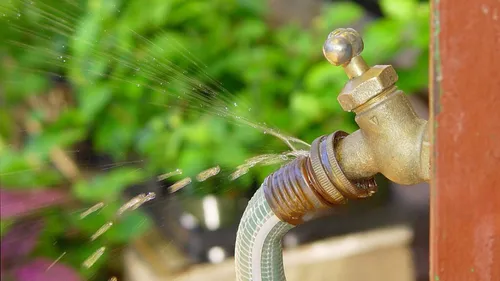 Pyrénées-Orientales : des chiens pour détecter les fuites d'eau