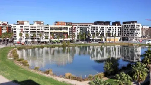 Montpellier : cette course solidaire et inclusive va souffler ses...