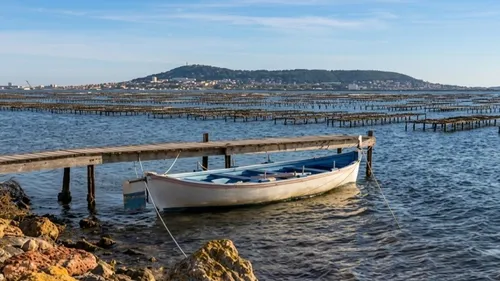 Le Bassin de Thau serre la vis sur le béton : Révision du SCoT