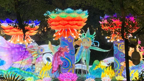 L’événement dans les Pyrénées-Orientales : Un festival des...