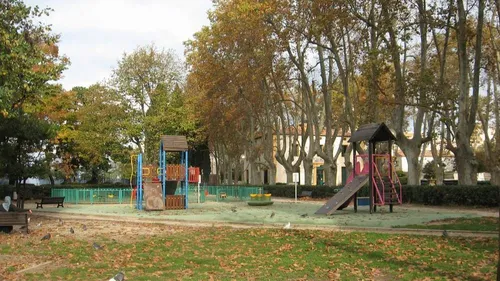 Montpellier : une cinquantaine de platanes vont être abattus au...