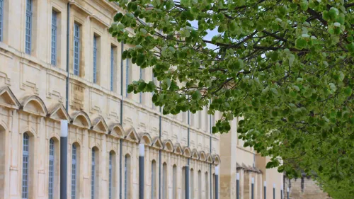 Réussite en Licence : le sud à la peine dans le classement 2026