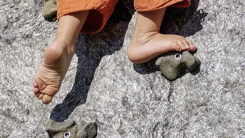 Proche de Montpellier : le Festival des activités de nature reporté...