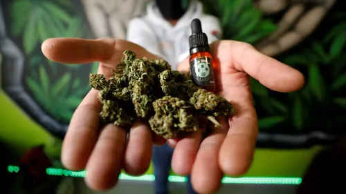 Cannabis : dans le sud, on fume plus que le reste de la France