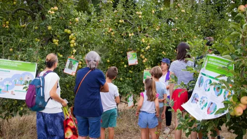Près de Montpellier : la coopérative Cofruid'Oc ouvre ses portes...