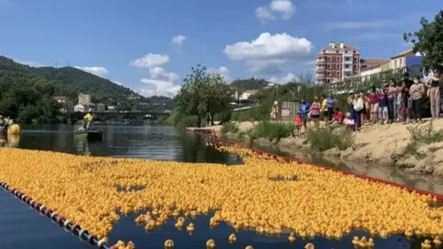 Insolite : à Alès, une course de canards en plastique pour la bonne...