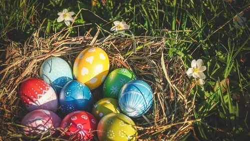 Gard/Vaucluse : Trois idées de sorties en famille pour les fêtes de...
