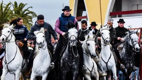 Palavas-les-Flots : c'est parti pour quatre jours de fête à...
