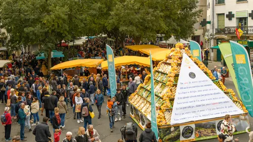 Gard : la pomme et l’oignon doux font leur 32ème foire au Vigan