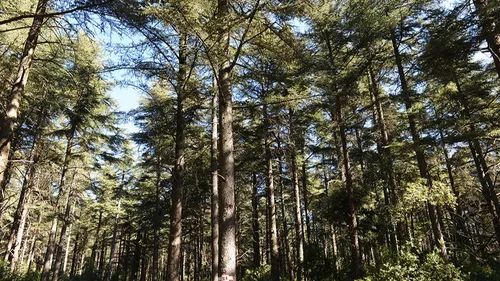 Vaucluse : 5 randos familiales à faire quand il fait chaud
