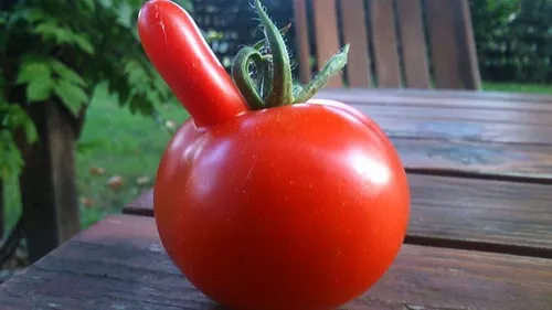 Montpellier : PimpUp, l’entreprise qui refuse de gaspiller les...