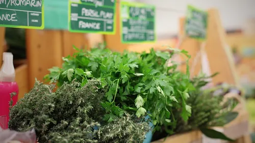 Narbonne : les 5 magasins les moins chers 