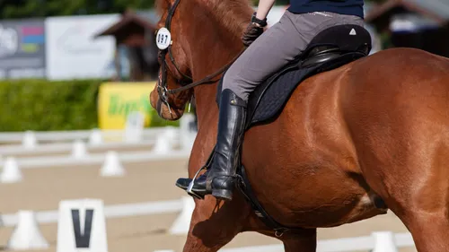 Cheval Passion 2024 : 5 jours pour les amoureux d'équitation à Avignon