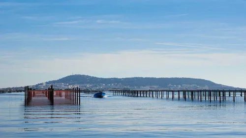 Hérault : des mesures d’urgence suite à l’interdiction à la vente...