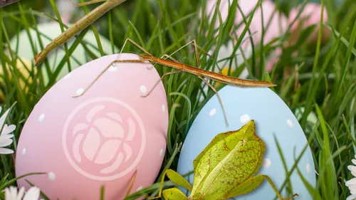 Aveyron : pendant les vacances, à Micropolis, on cherche les...