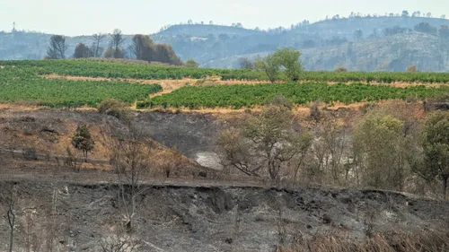 Aude : une grande collecte de dons après les incendies de l’été