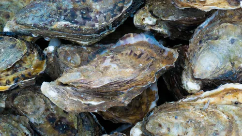 Près de Sète : une grande fête gourmande ce dimanche pour soutenir...