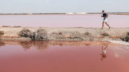 Camargue : Le succès fou de cette course insolite, ne laissez pas...