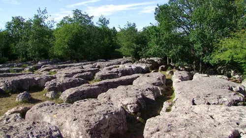 Aude : la balade féerique du labyrinthe vert de Nébias