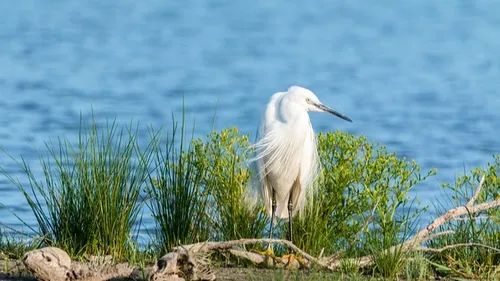 Autour de Nîmes : 14 balades guidées gratuites à la découverte de...