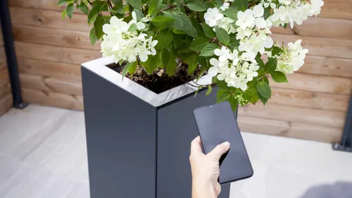 Montpellier : un piège à moustiques made in Occitanie