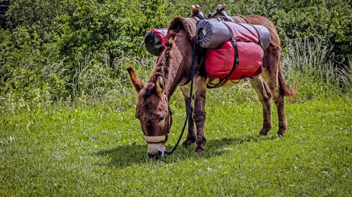 Golfe du Lion : et si vous lâchiez tout pour une rando... avec un...