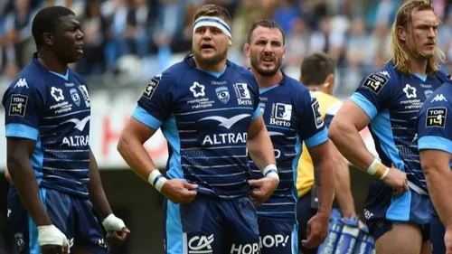 Rugby : le MHR et Toulouse ont faim d'Europe
