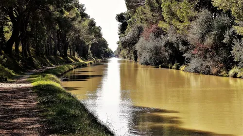 Canal du Midi : une association invite les communes riveraines à...