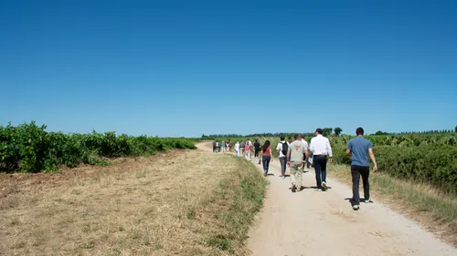 Gard : une première Œnorando lancée à Gallician pour mêler marche...