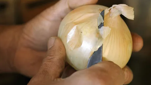 L'oignon doux des Cévennes et la pomme à l'honneur au Vigan