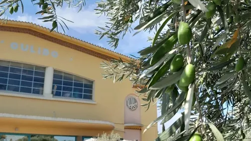 Aude : L’Oulibo lance ses féeries, de nombreuses animations pendant...