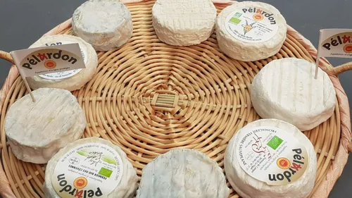 Marché, animations, ateliers, dégustations… la fête du pélardon...