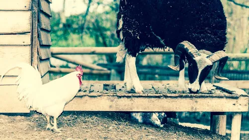 Près de Montpellier : Le petit Paradis, une escapade nature pour...