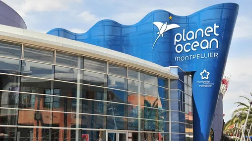 Montpellier : Planet Ocean vous embarque pour deux nuits...