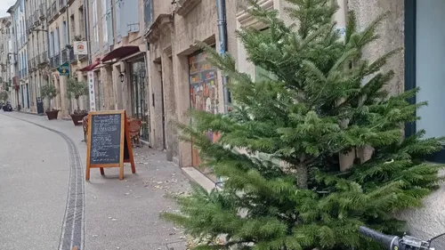 À Pézenas, neuf sapins participatifs et un Nadal 2025 plus féérique...