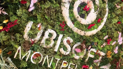 Prince of Persia: The Lost Crown,  Joyau d'Ubisoft Montpellier