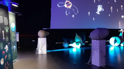 Narbonne : l’expo gratuite sur l’Océan change de décor, et c’est...